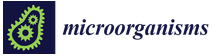 Microorganism Journal logo